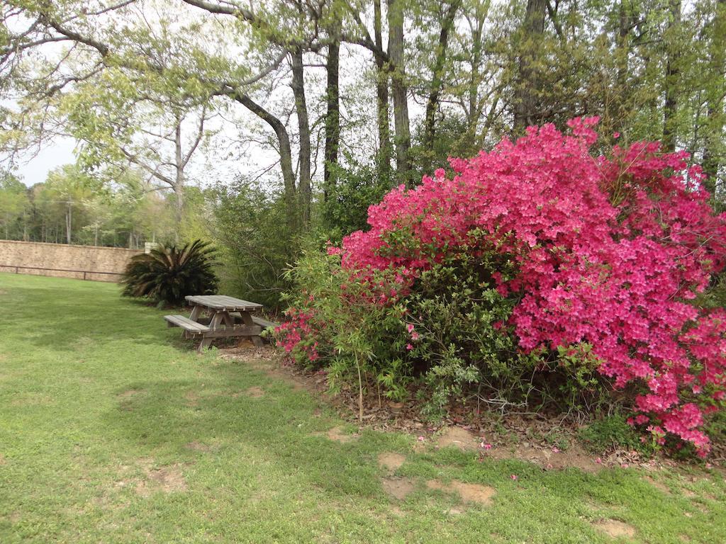 希尔斯比花园套房汽车旅馆 Silsbee 外观 照片